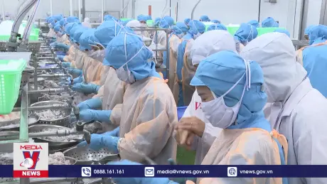 Ngành Thủy sản Thanh Hóa tất bật cuối năm