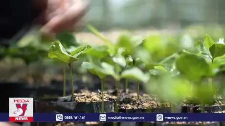 Bảo vệ và phát triển rừng bền vững