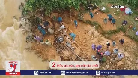 Xử lý môi trường sau lũ