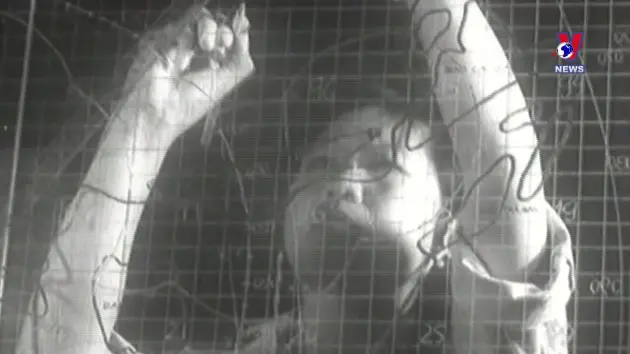 Khoảnh khắc & Sự kiện ngày 18/12/2024