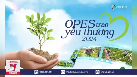 Bảo hiểm số OPES góp phần xây dựng tương lai bền vững từ cây sinh kế   