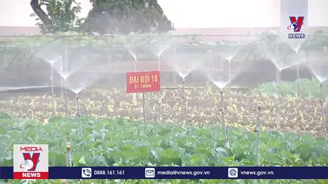 Bản tin thời sự 18h ngày 18/12/2024