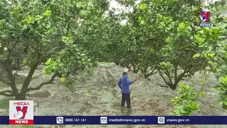 Bản tin thời sự 17h ngày 18/12/2024