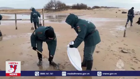 Nga đánh giá hậu quả sự cố tràn dầu trên Biển Đen