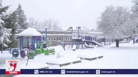 Biến đổi khí hậu đe dọa “Giáng sinh trắng” tại Bắc Bán cầu