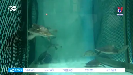 Tạp chí toàn cầu ngày 20/12/2024