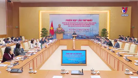 VNA News 21/12/2024