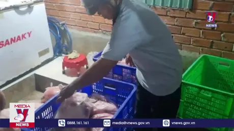 Bắt giữ hàng trăm kg thịt động vật chết chuẩn bị đem đi tiêu thụ