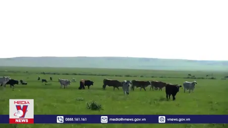 Tiềm năng hợp tác ngành Halal giữa Việt Nam và Nam Phi