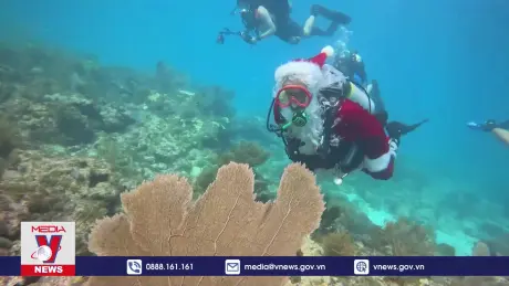 Không khí Giáng Sinh ngập tràn khắp thế giới