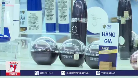 Bảo hộ quyền sở hữu công nghiệp 