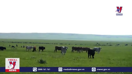 Bản tin thời sự 17h ngày 21/12/2024