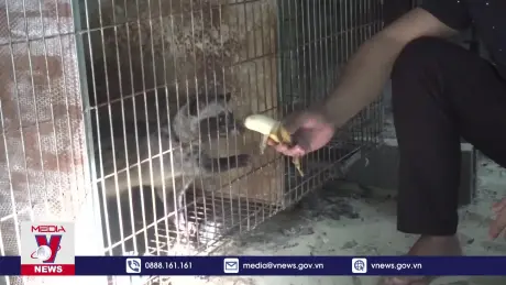 Quảng Bình kiểm soát chặt việc nuôi nhốt động vật hoang dã
