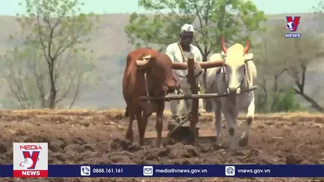 Bản tin thời sự 21h ngày 21/12/2024