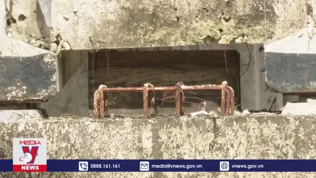 Những cây cầu chờ ở vùng sâu tỉnh Bạc Liêu