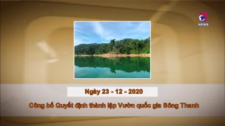 Khoảnh khắc và Sự kiện ngày 23/12/2024