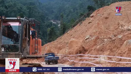 Bản tin Thời sự 11h ngày 24/12/2024