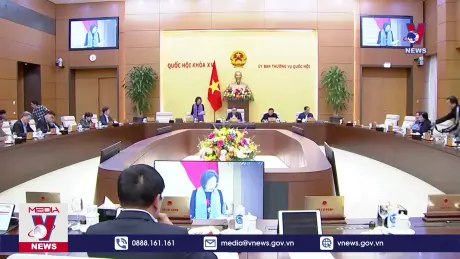 Bản tin thời sự 20h ngày 24/12/2024