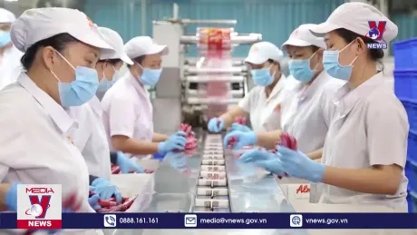 Bản tin thời sự 17h ngày 24/12/2024