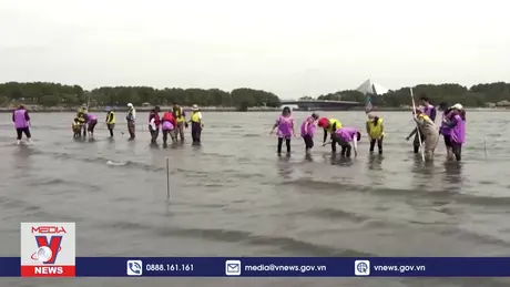 Nhật Bản ghi nhận nhiệt độ trung bình năm 2024 cao kỷ lục