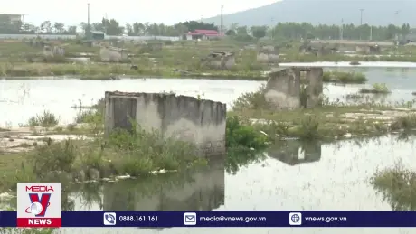 Nhiều diêm dân Thanh Hóa bỏ hoang đồng muối