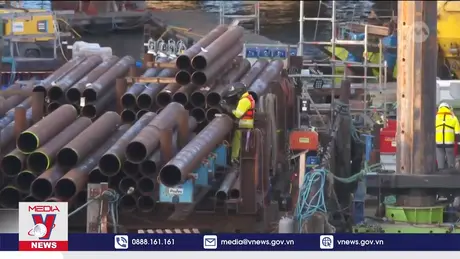 Kinh nghiệm từ lưới điện liên kết của châu Âu