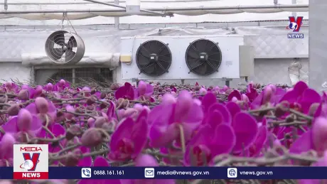 Phát triển nông nghiệp công nghệ cao tại Hà Nam