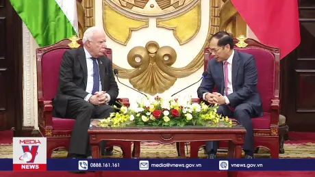 Việt Nam ủng hộ sự nghiệp đấu tranh chính nghĩa vì độc lập, dự do của Palestine
