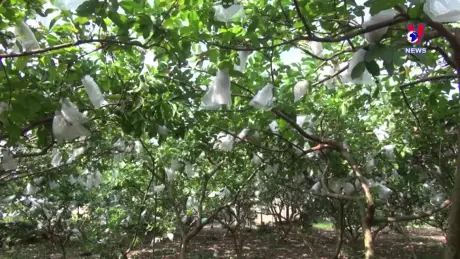 Khoa học và công nghệ ngày 26/12/2024