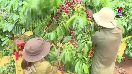 Nhật trình kinh tế ngày 26/12/2024