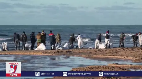 Nga ban bố tình trạng khẩn cấp do sự cố tràn dầu ở Biển Đen