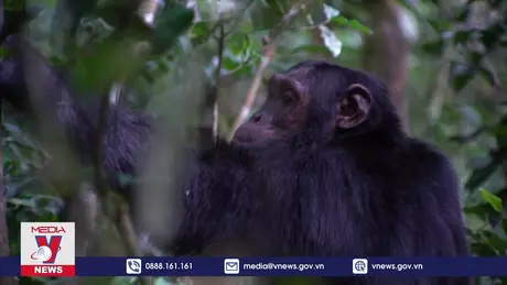 Uganda thúc đẩy quảng bá du lịch