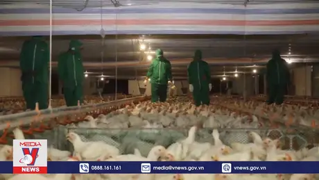 Thúc đẩy nông nghiệp công nghệ cao, đưa kinh tế vùng biên Tây Ninh khởi sắc