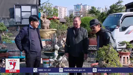 Khám phá chợ hoa sinh vật cảnh lớn nhất Hà Nội