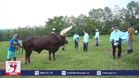 Việt Nam mở rộng tìm kiếm thị trường du lịch mới