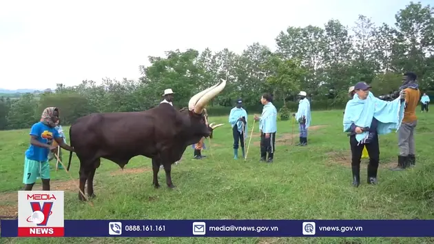 Việt Nam mở rộng tìm kiếm thị trường du lịch mới