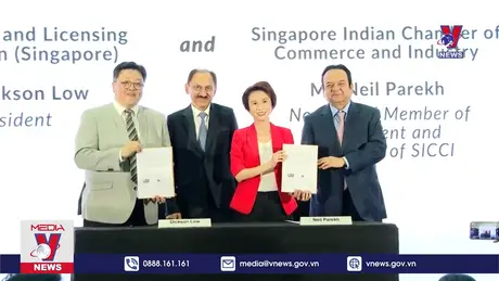 Bản tin thời sự 22h ngày 28/12/2024