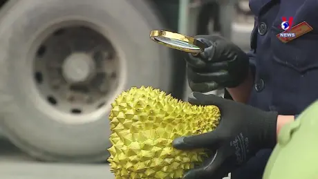 Nhật trình kinh tế ngày 30/12/2024