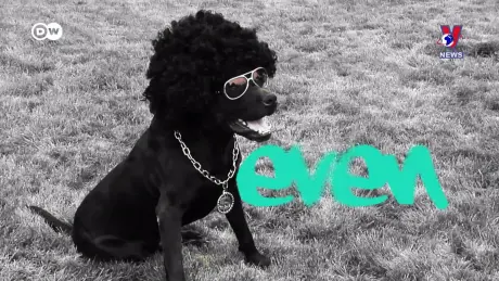 Tạp chí toàn cầu ngày 30/12/2024