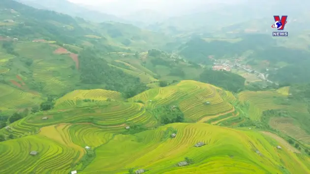 Khoảnh khắc & Sự kiện ngày 31/12/2024