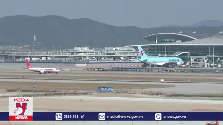 Va chạm với chim gây ra nhiều tai nạn hàng không thế giới