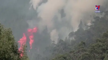 Thế giới hôm nay: Phép thử tính bền vững