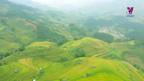 Khoảnh khắc & Sự kiện ngày 31/12/2024