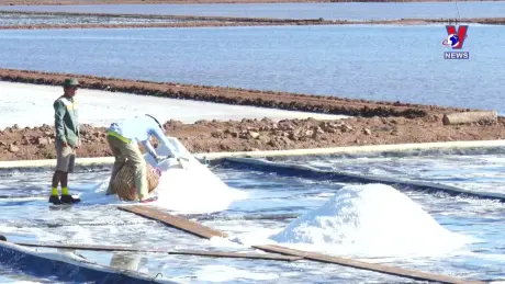 Thông điệp lịch sử: Nghề làm muối ở Bạc Liêu