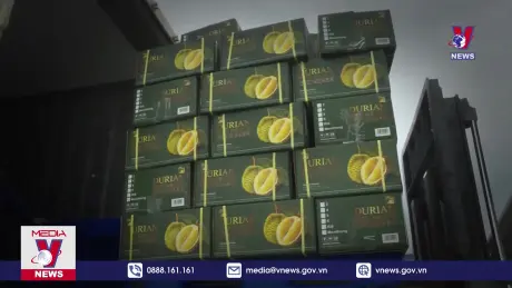 Bản tin Thời sự 6h ngày 31/12/2024