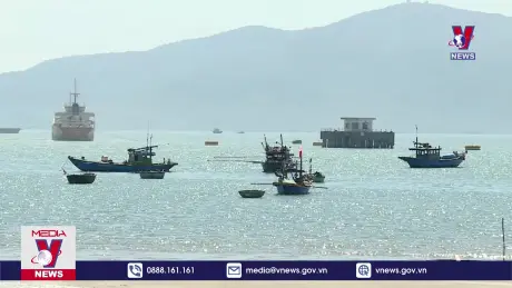 Bản tin thời sự 08h ngày 01/01/2025