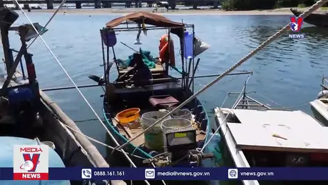 Bản tin thời sự 11h ngày 01/01/2025