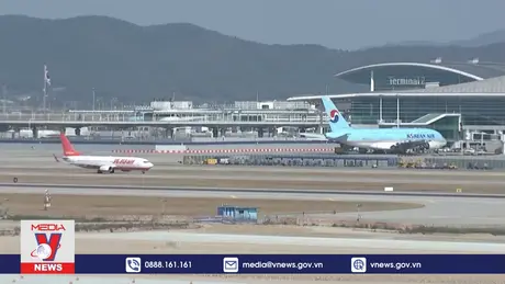 Bài học từ vụ tai nạn máy bay tại Hàn Quốc