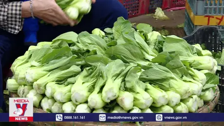Rau xanh tăng giá do thời tiết mưa lạnh kéo dài