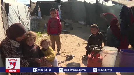 IOM kêu gọi tạo điều kiện cho hoạt động nhân đạo ở Dải Gaza